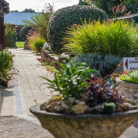 Hotel La Flambee Bergerac Eksteriør billede